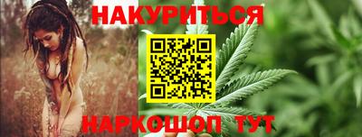 шишки Коммунар