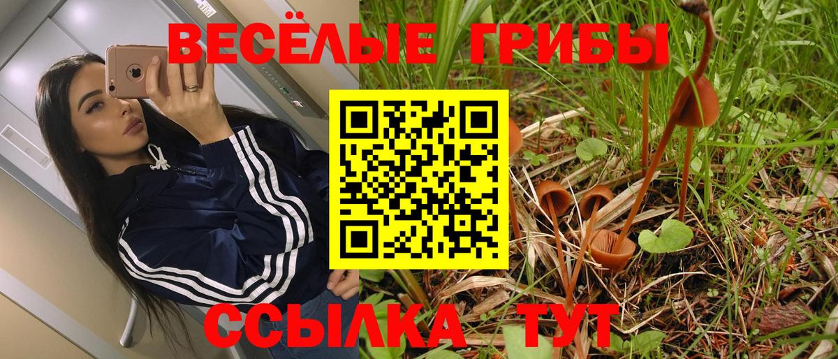 Героин Качканар
