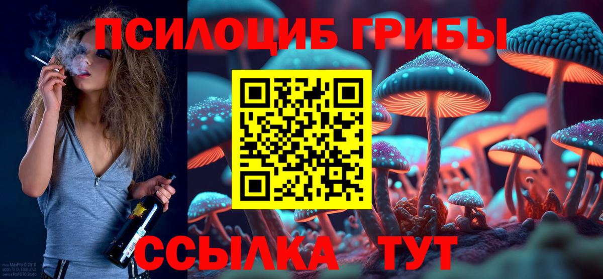 Галлюциногенные грибы Psilocybine cubensis Качканар